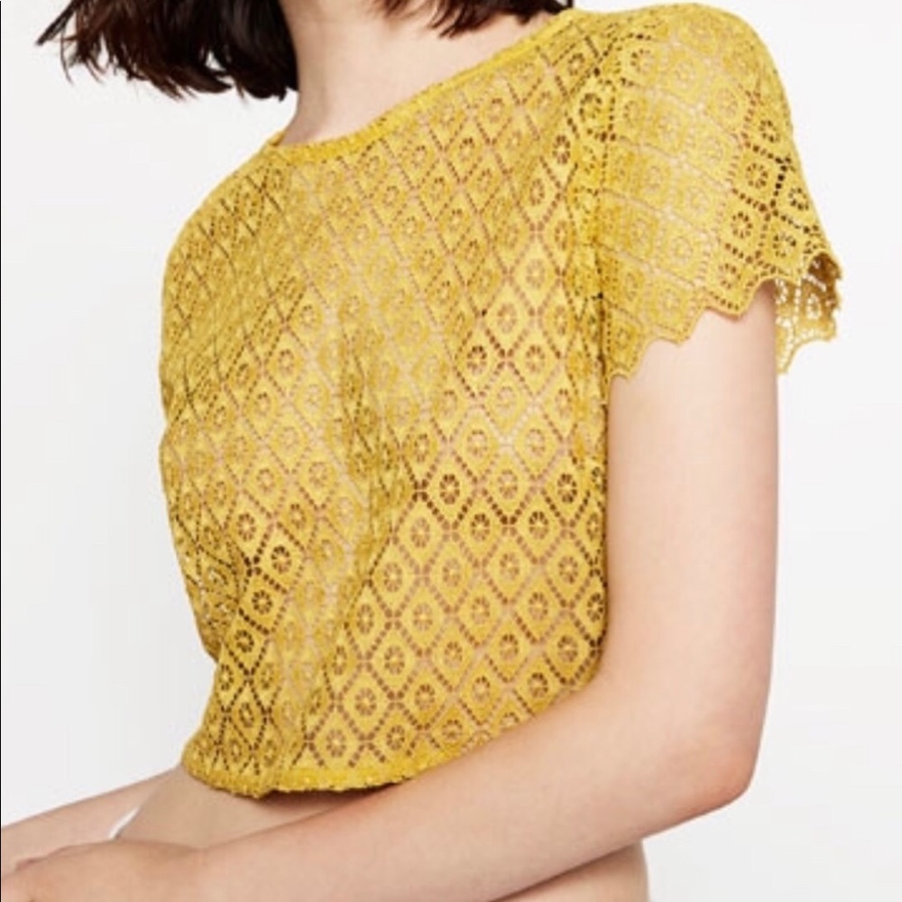 Zara blouse